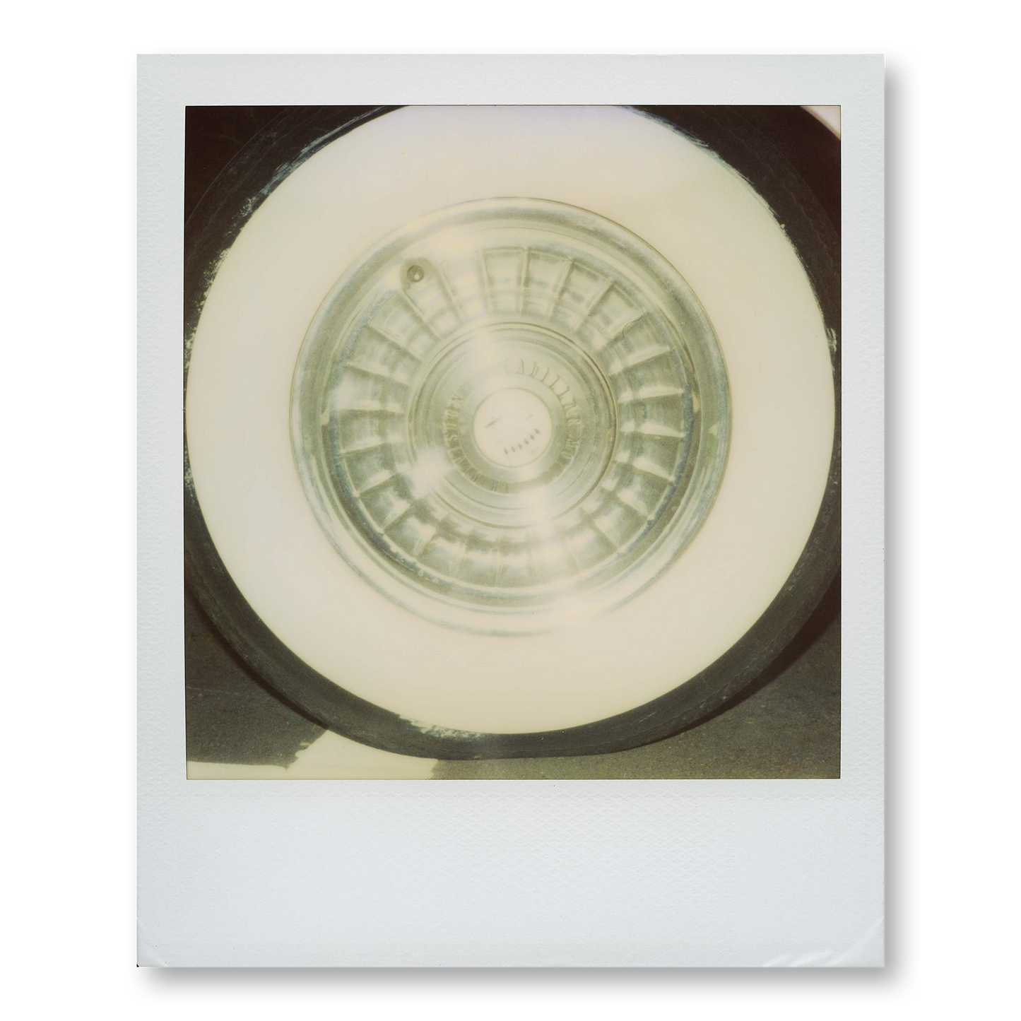 POLA / Miami 01