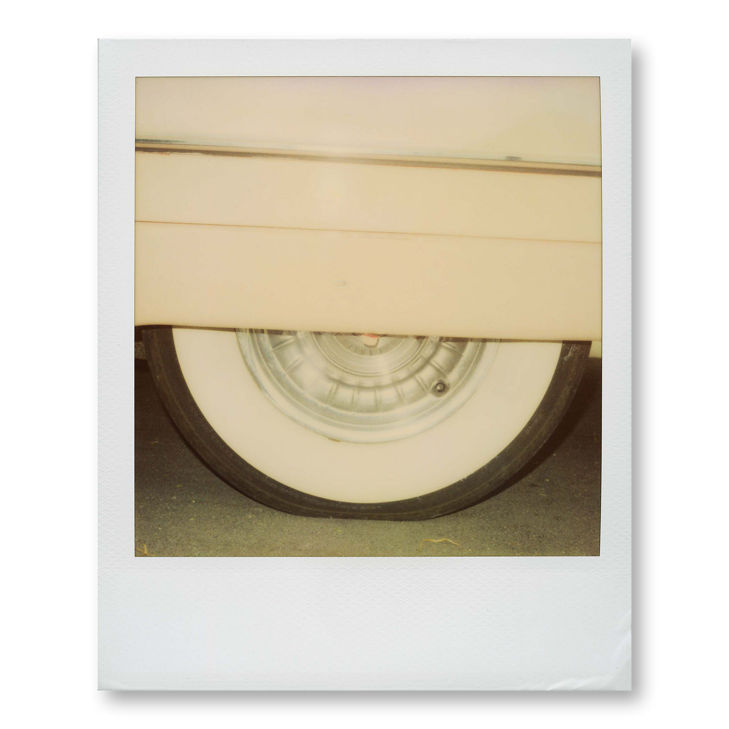 POLA / Miami 03