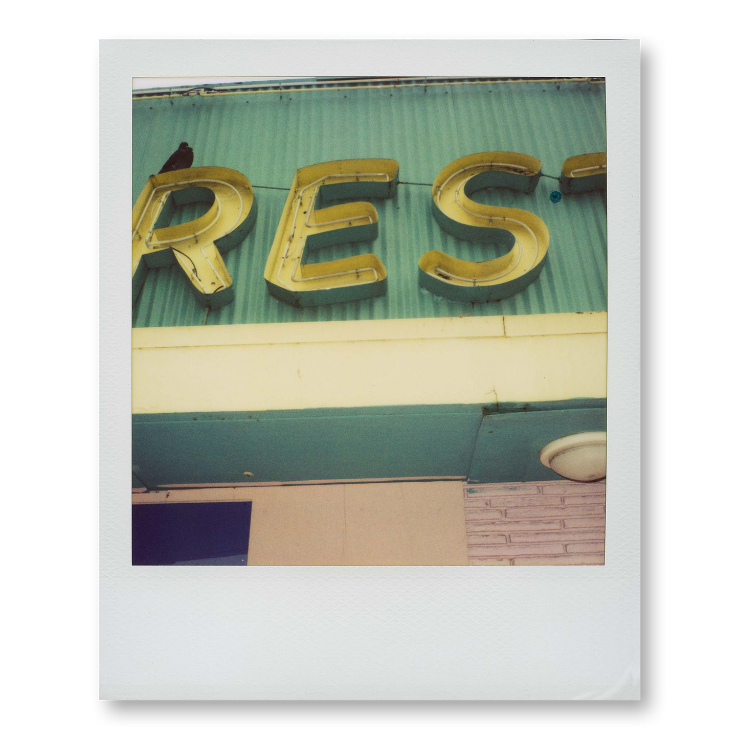 POLA / Miami 07
