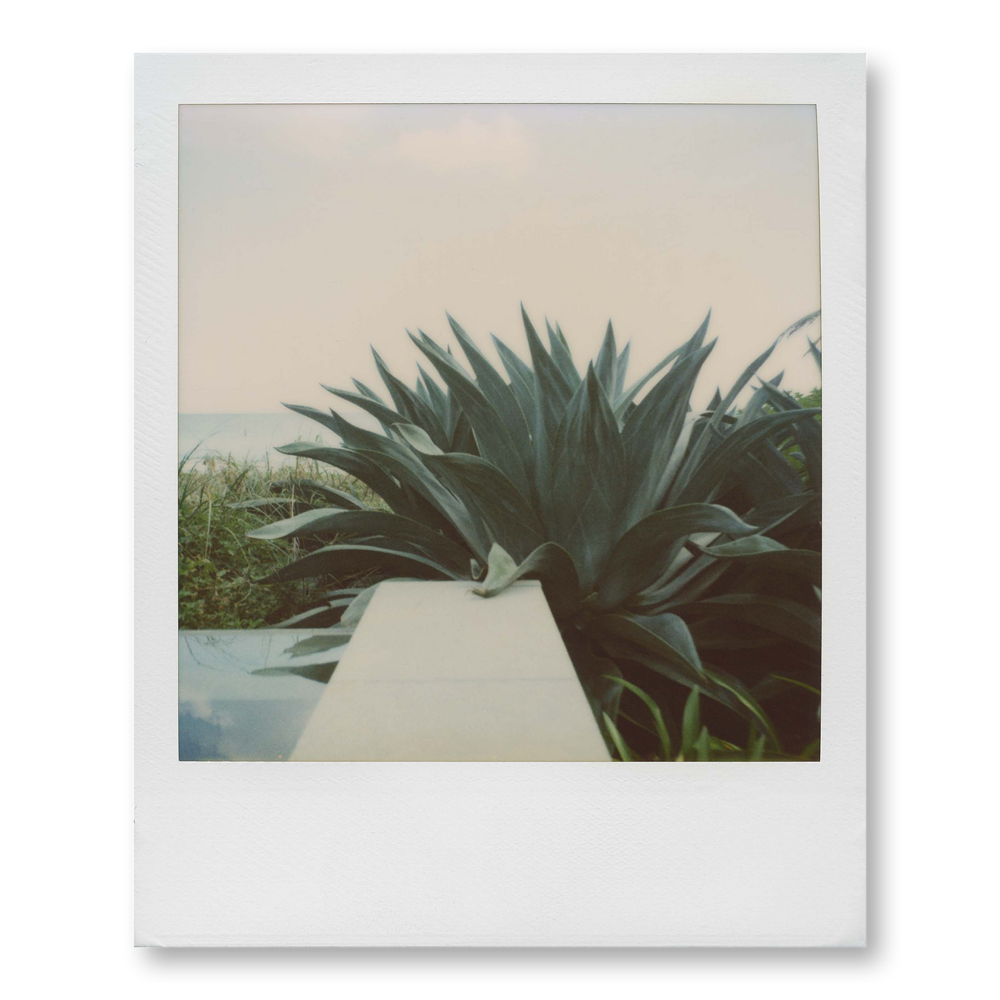 POLA / Miami 10