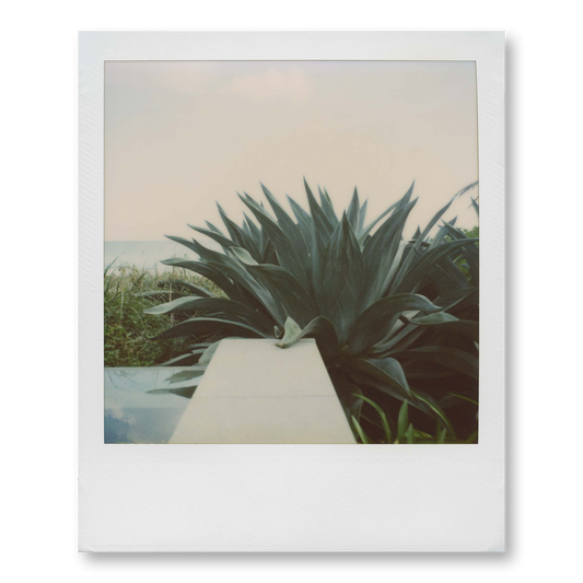 POLA / Miami 10