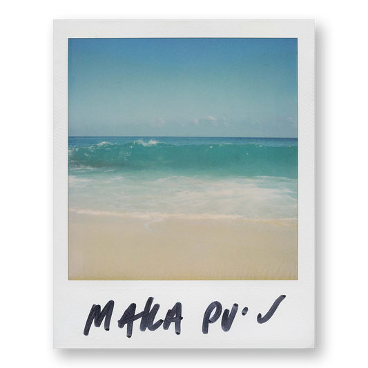 POLA / Dreamland 01