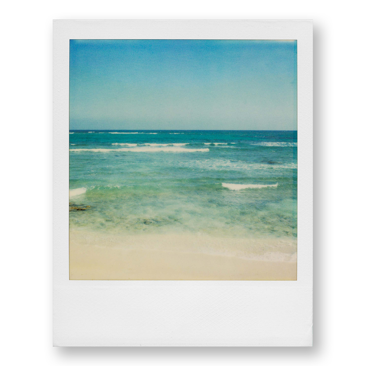 POLA / Dreamland 02