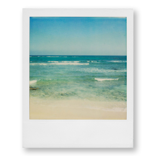 POLA / Dreamland 02
