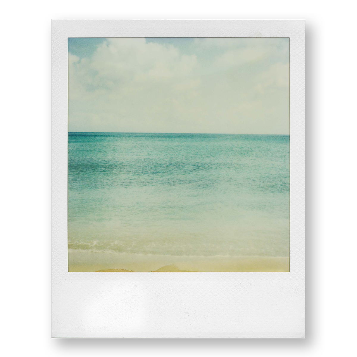 POLA / Dreamland 04