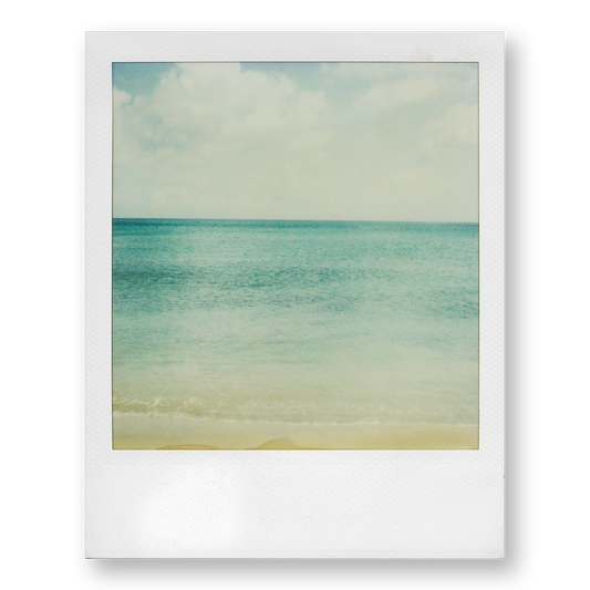 POLA / Dreamland 04