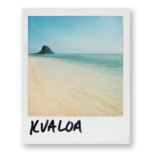 POLA / Dreamland 05