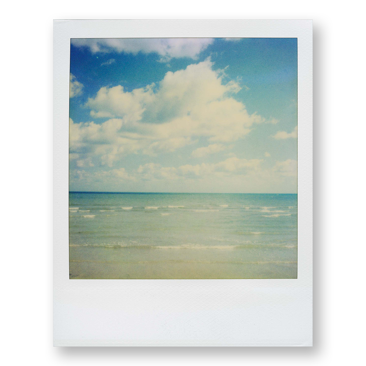 POLA / Dreamland 06