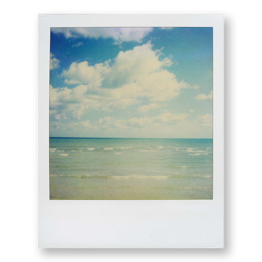 POLA / Dreamland 06