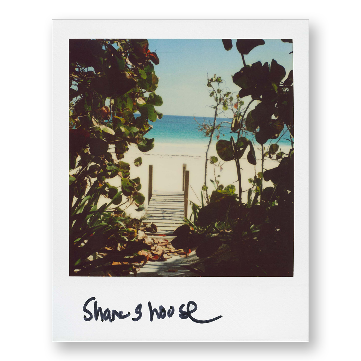POLA / Dreamland 07
