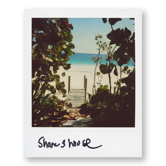 POLA / Dreamland 07