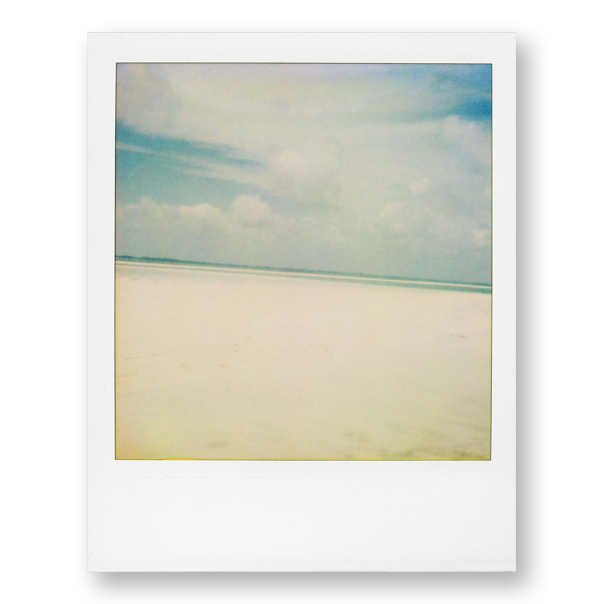POLA / Dreamland 09