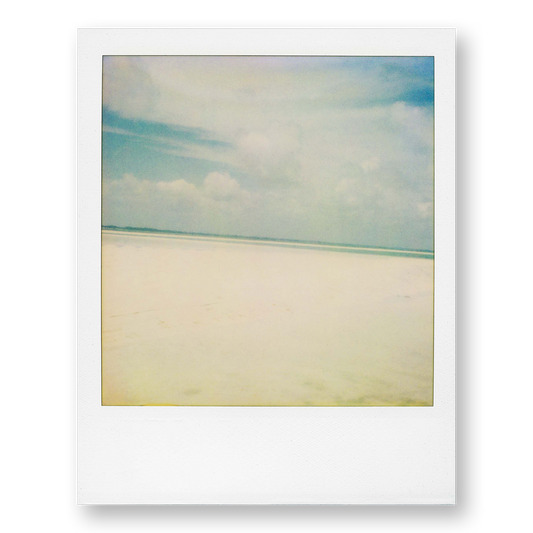 POLA / Dreamland 09