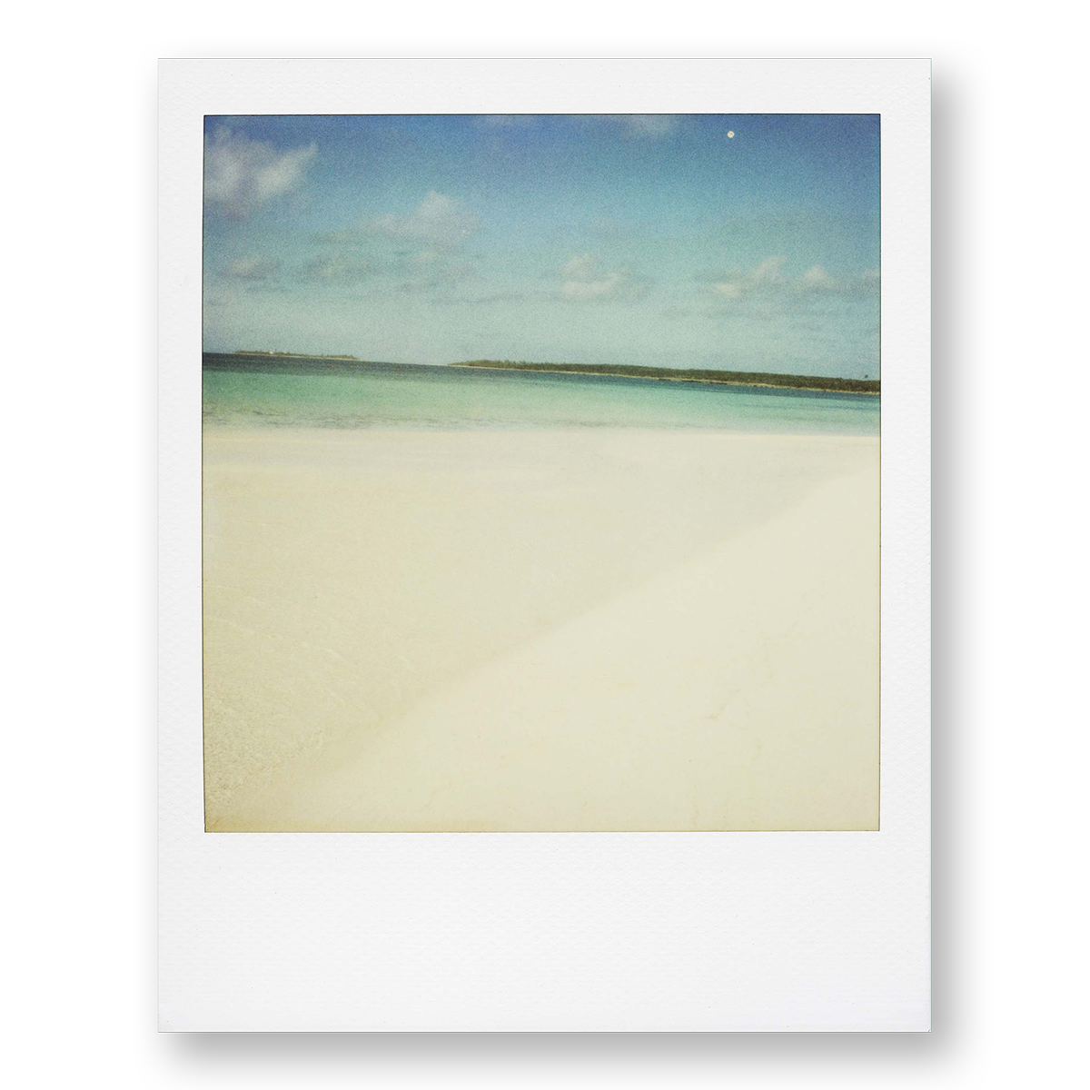 POLA / Dreamland 10