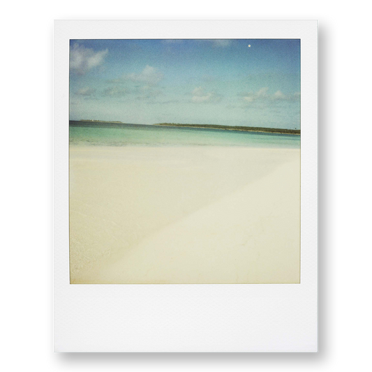 POLA / Dreamland 10