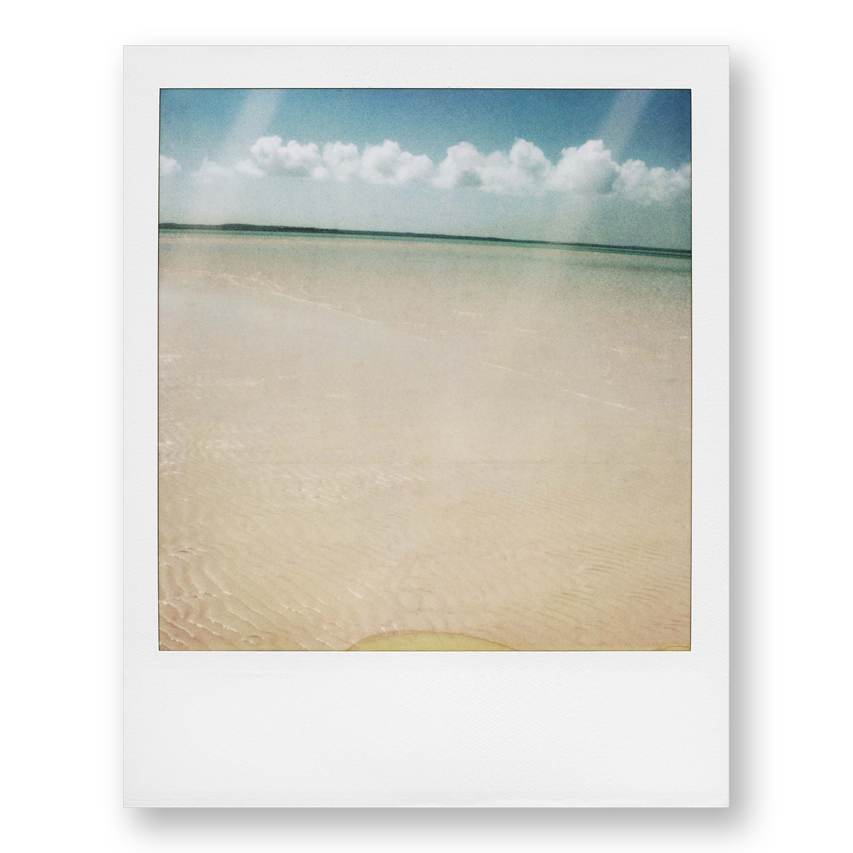 POLA / Dreamland 11