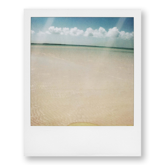 POLA / Dreamland 11
