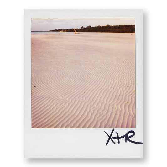 POLA / Dreamland 12