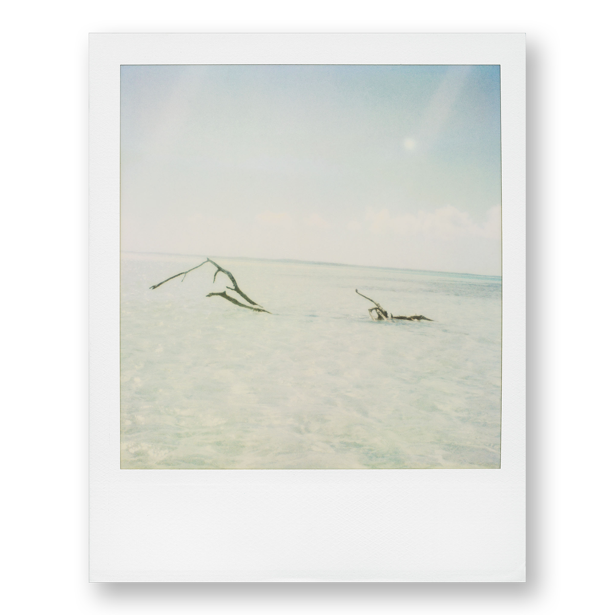 POLA / Dreamland 13