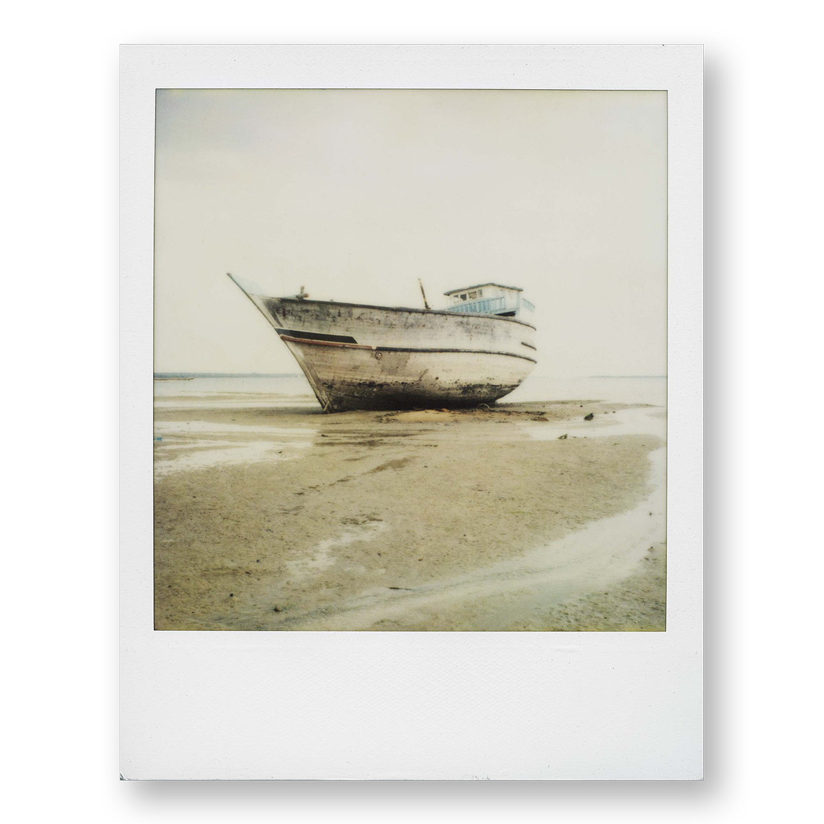 POLA / Dreamland 15