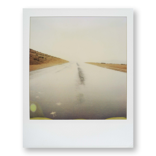 POLA / Dreamland 16