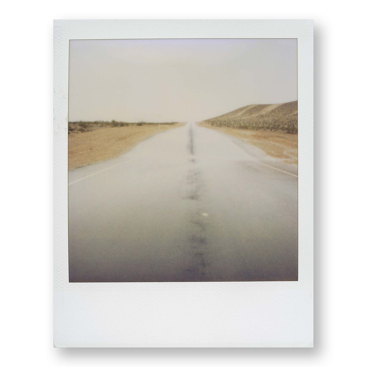 POLA / Dreamland 17