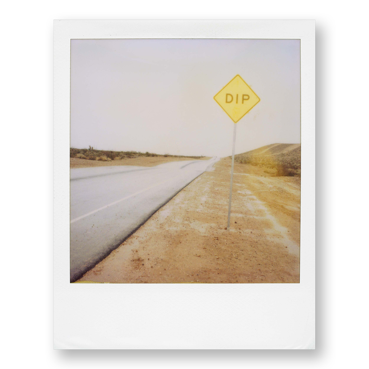 POLA / Dreamland 18
