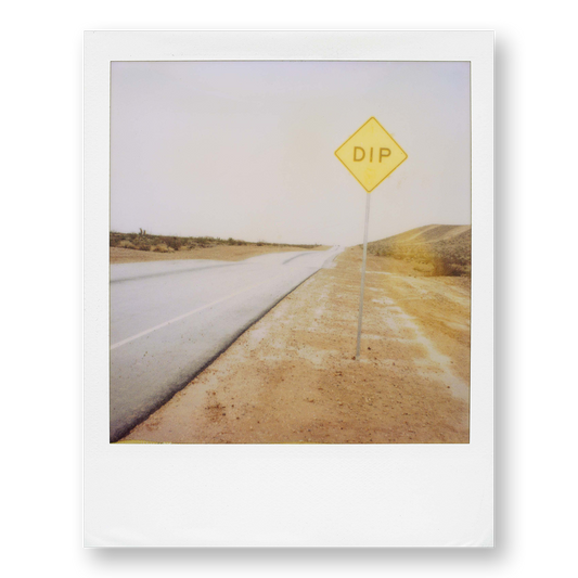 POLA / Dreamland 18