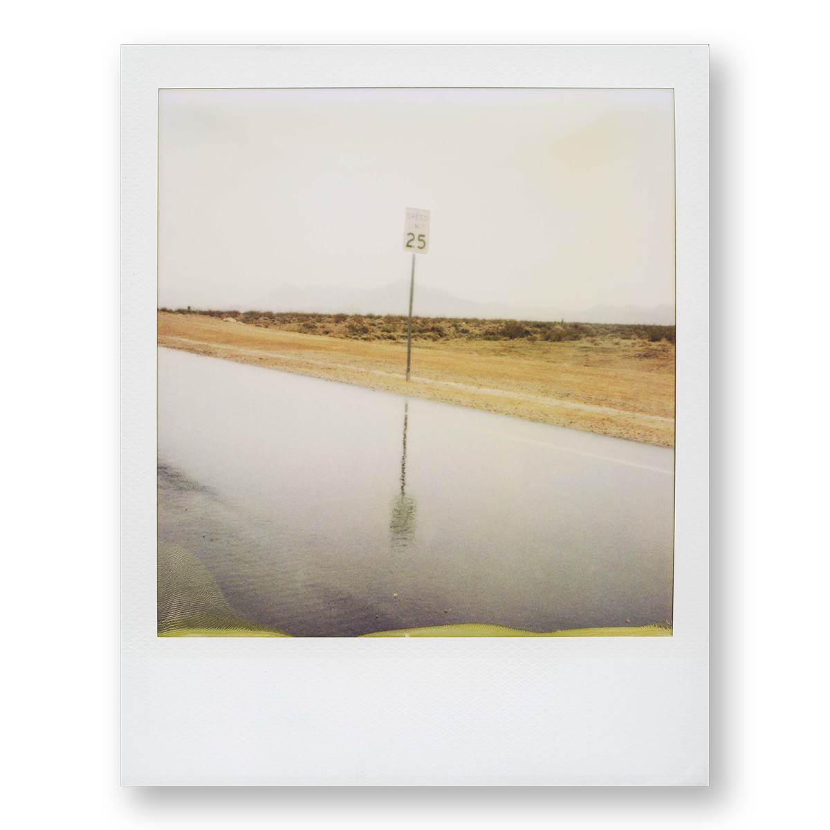 POLA / Dreamland 19
