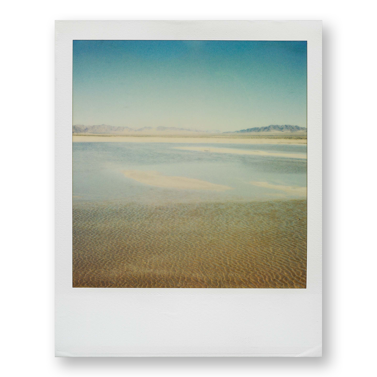 POLA / Dreamland 20