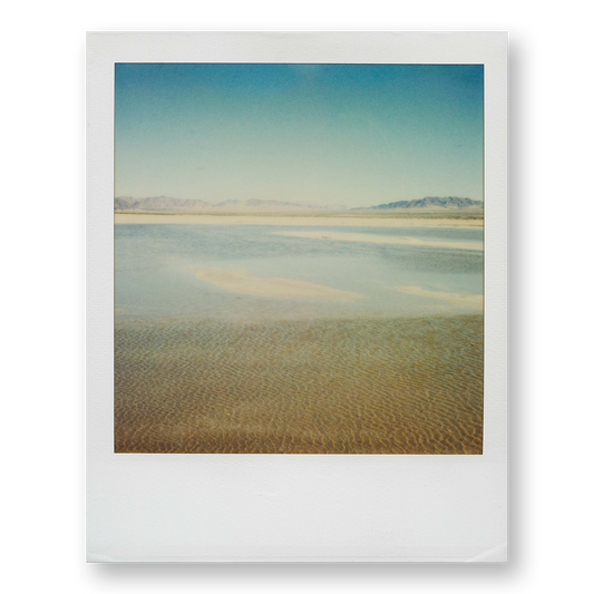 POLA / Dreamland 20