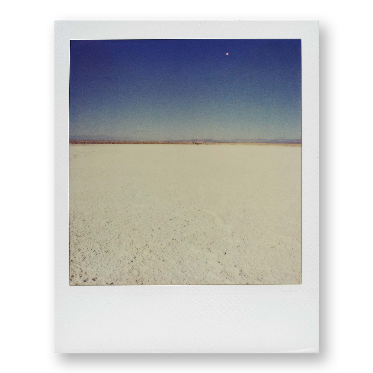 POLA / Dreamland 21
