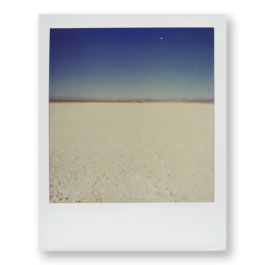 POLA / Dreamland 21