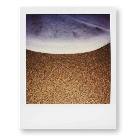 POLA / Gifts of Nature 01