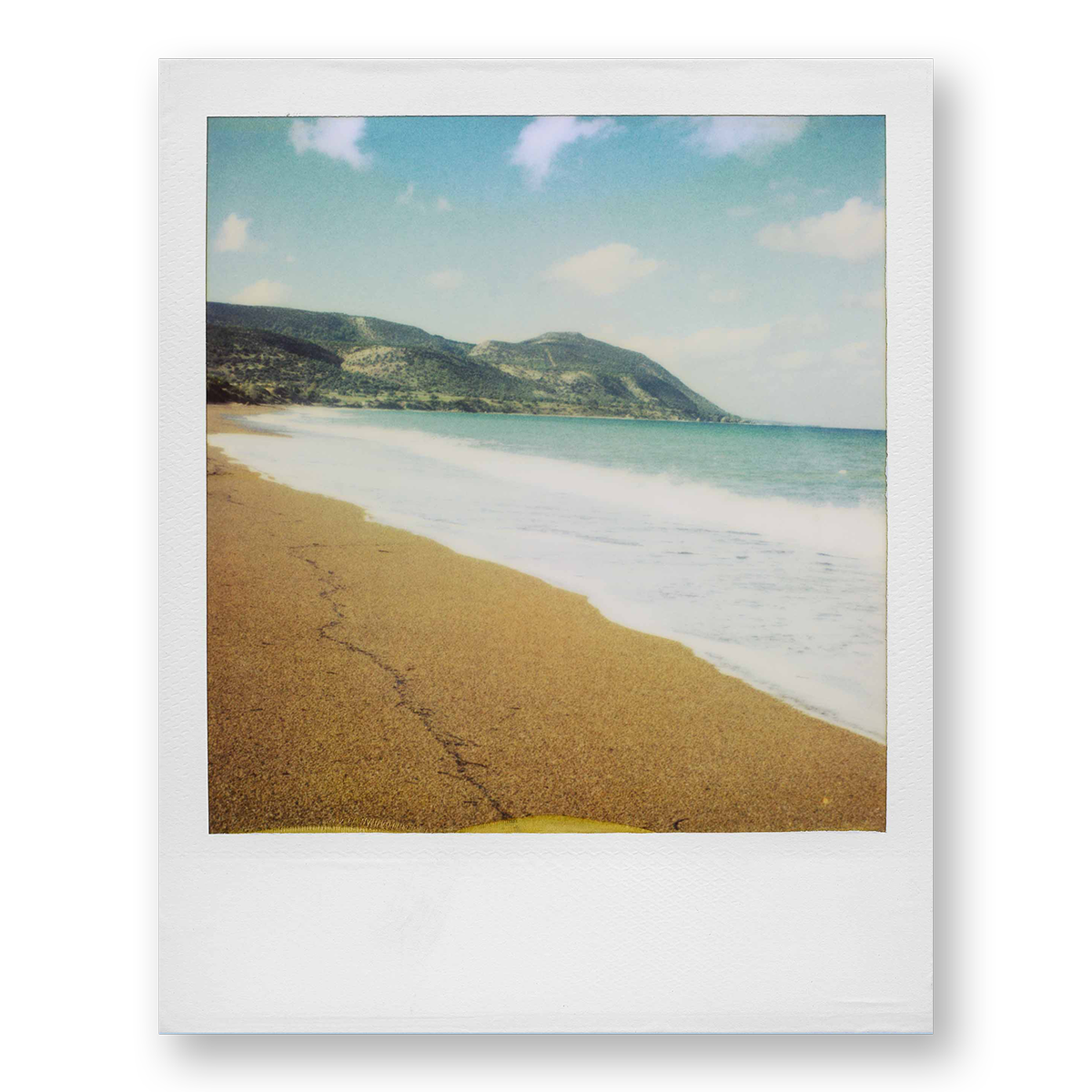 POLA / Gifts of Nature 02