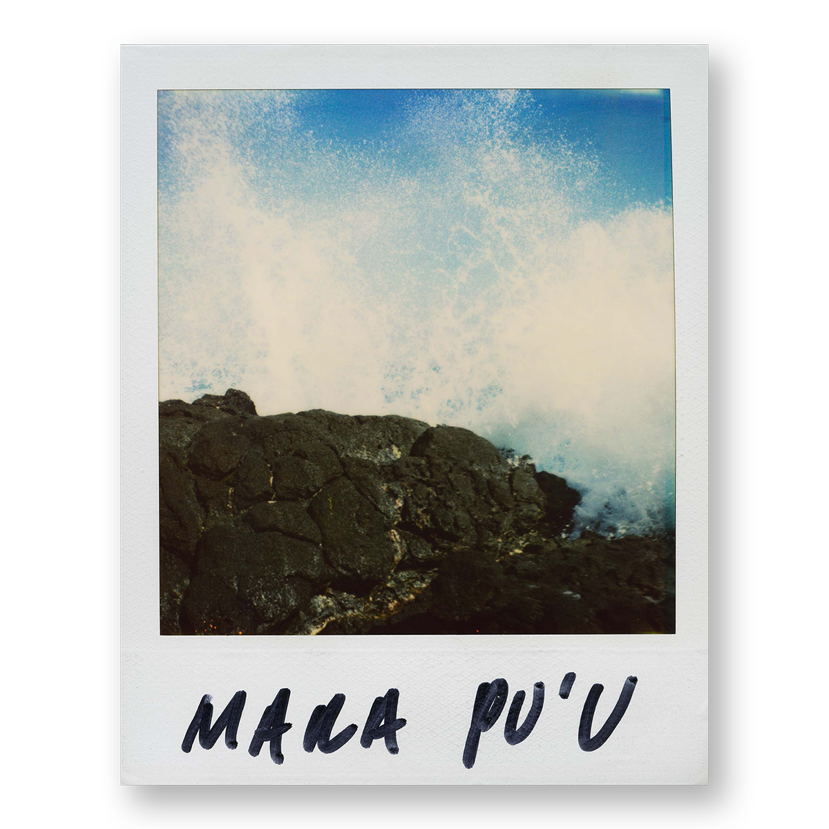 POLA / Gifts of Nature 04