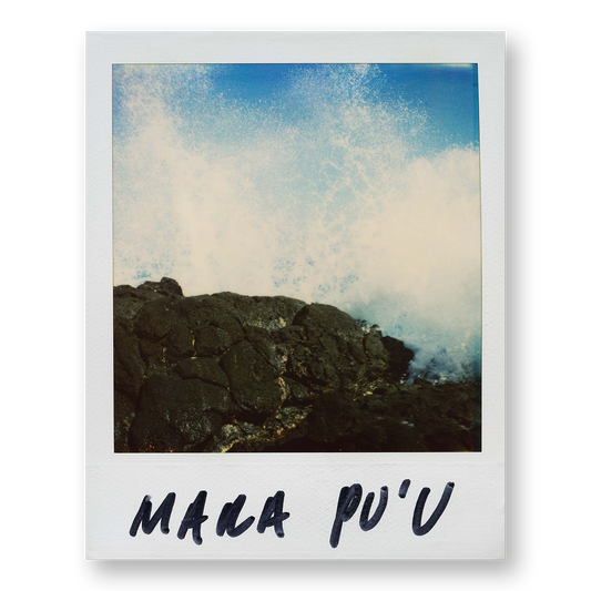 POLA / Gifts of Nature 04