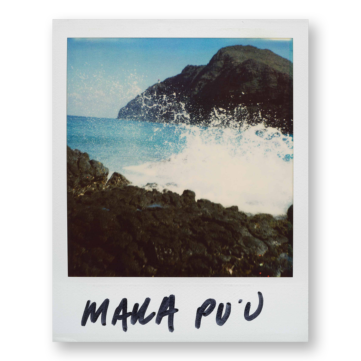 POLA / Gifts of Nature 05