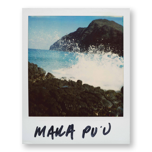 POLA / Gifts of Nature 05