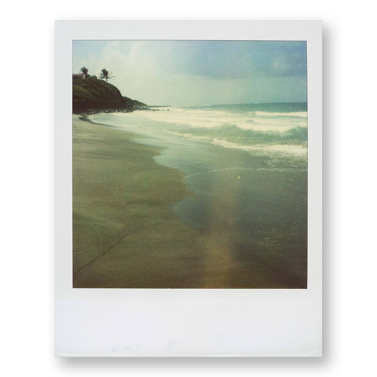 POLA / Gifts of Nature 11