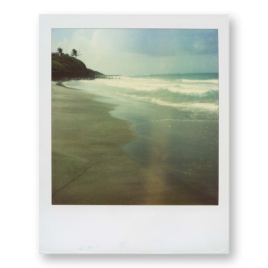 POLA / Gifts of Nature 11