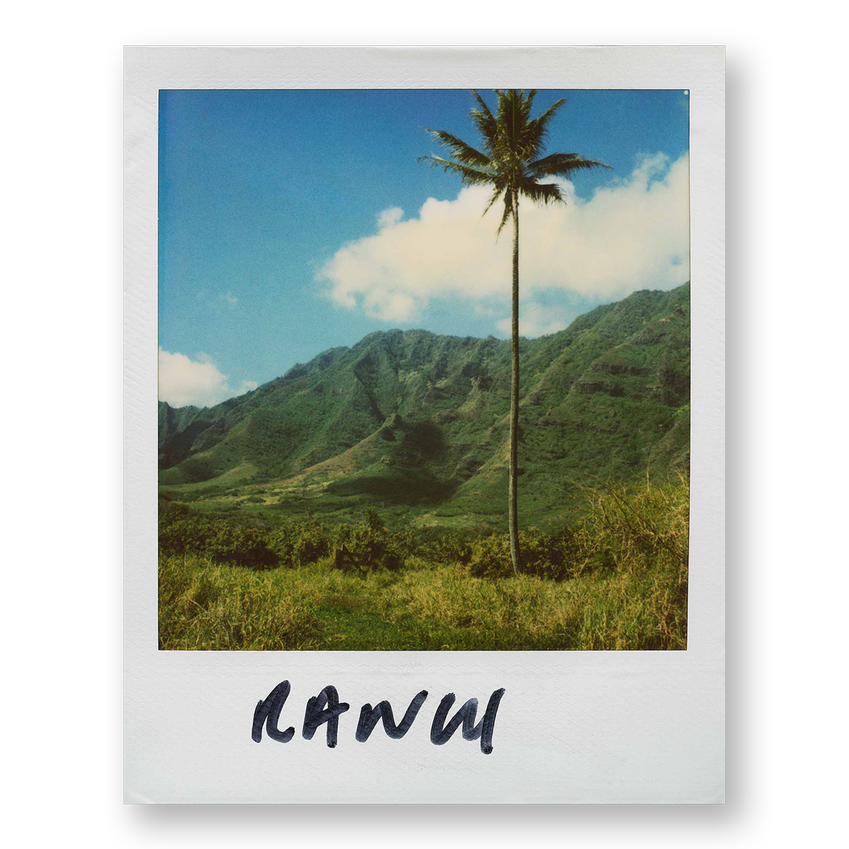 POLA / Gifts of Nature 13