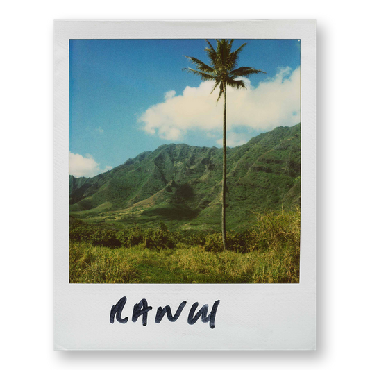 POLA / Gifts of Nature 13
