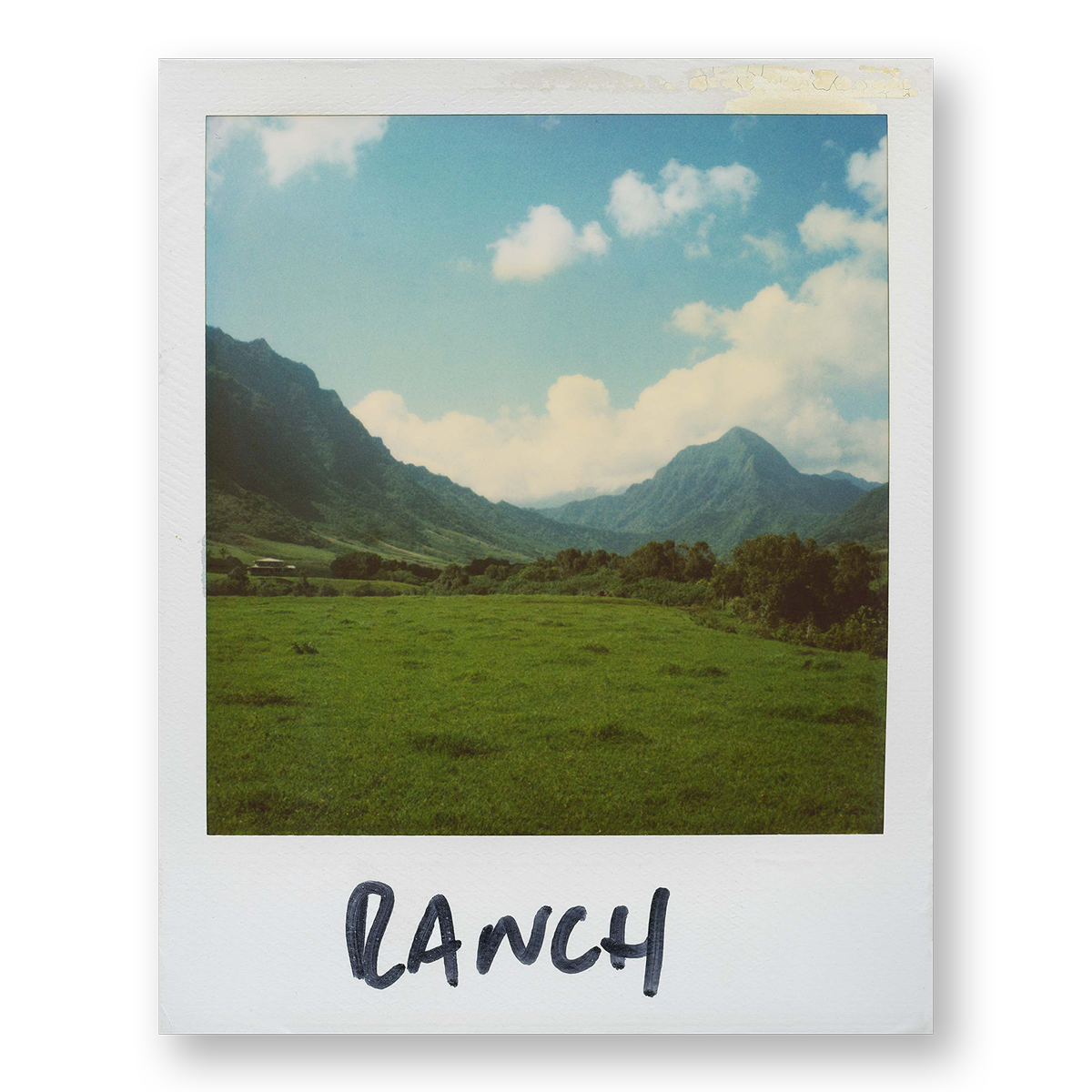 POLA / Gifts of Nature 14