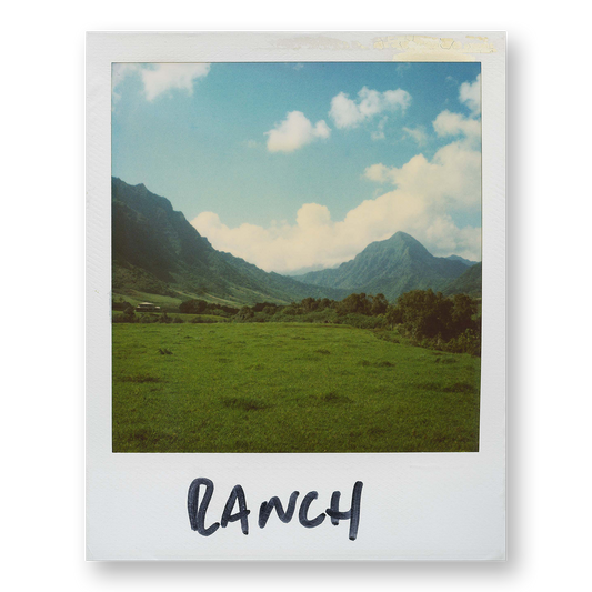 POLA / Gifts of Nature 14