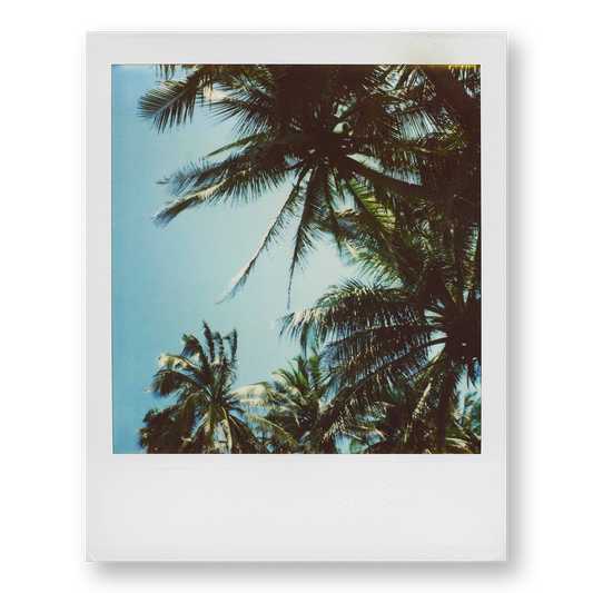 POLA / Gifts of Nature 15