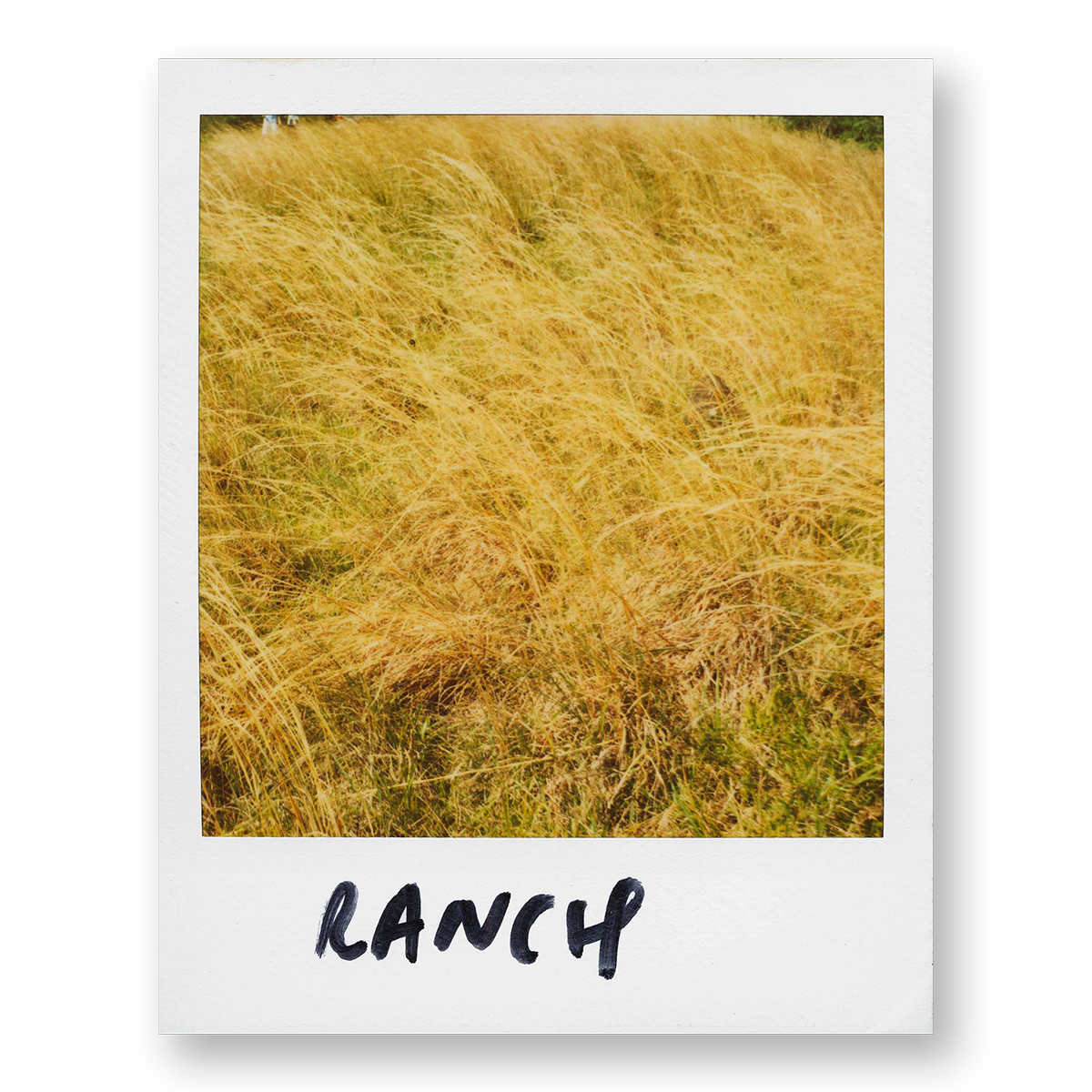 POLA / Gifts of Nature 16