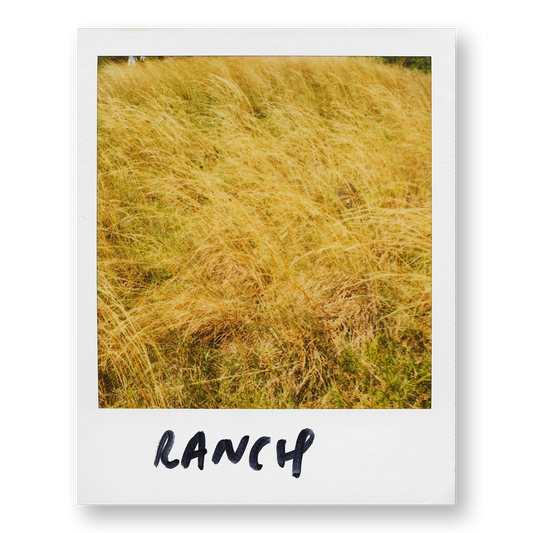 POLA / Gifts of Nature 16