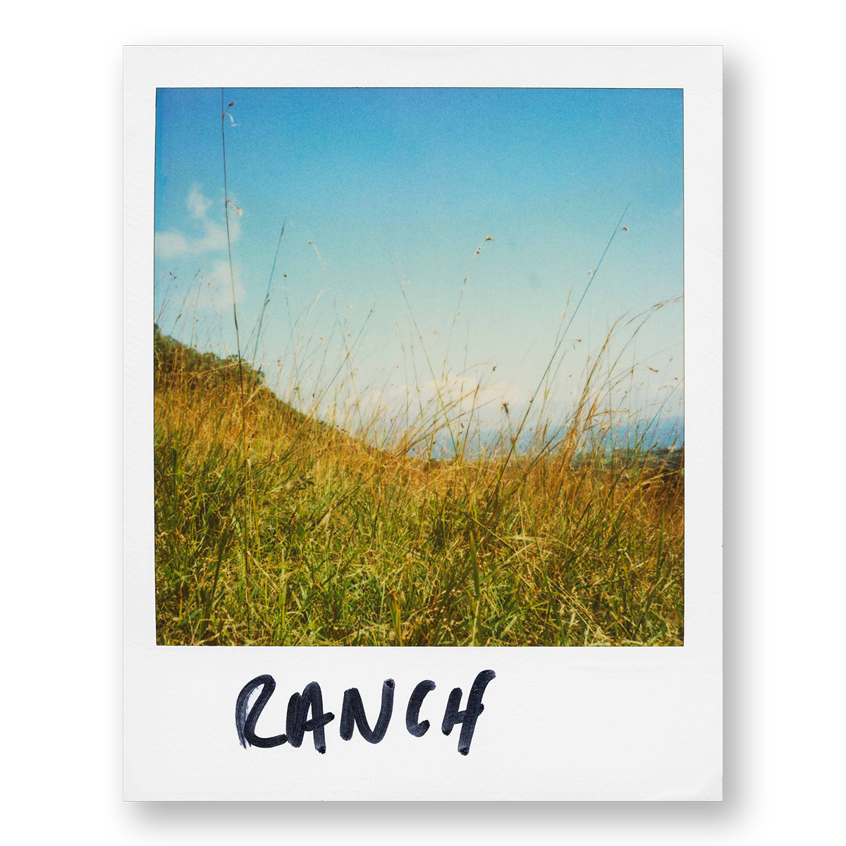POLA / Gifts of Nature 17