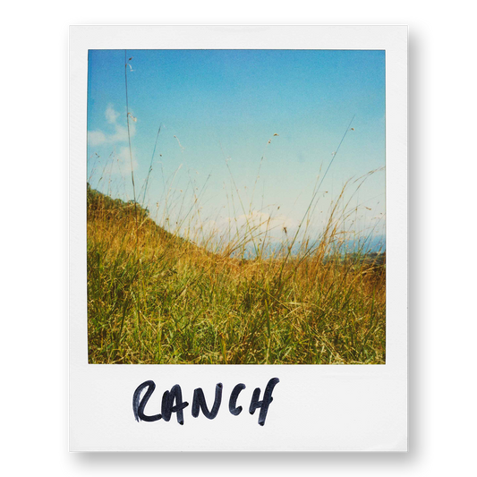 POLA / Gifts of Nature 17